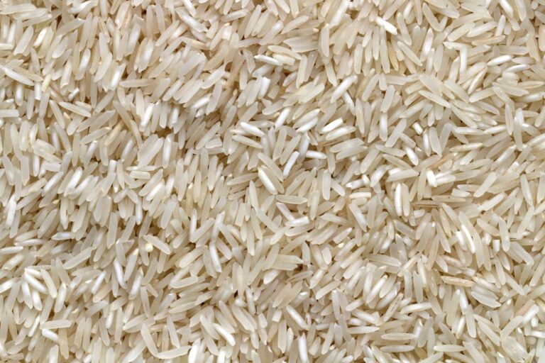 Rice